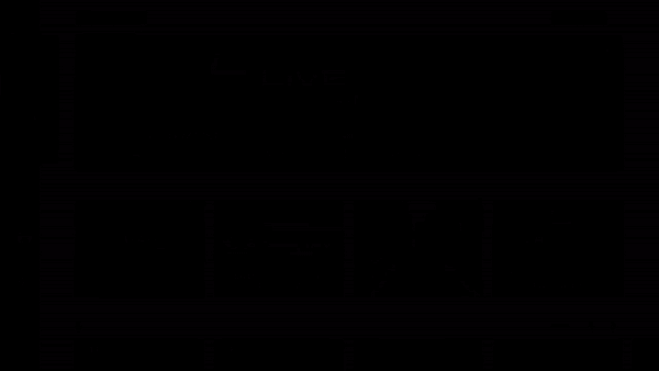 Gif 1 manual en.gif
